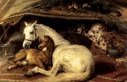 The Arab Tent Sir Edwin Landseer